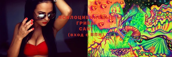 сатива Алексин