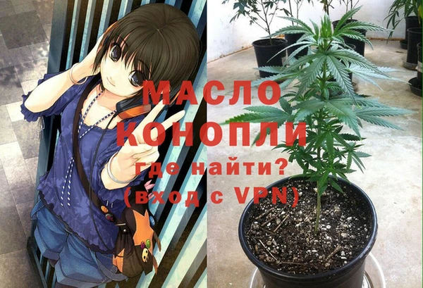 сатива Алексин